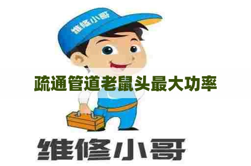 疏通管道老鼠头最大功率