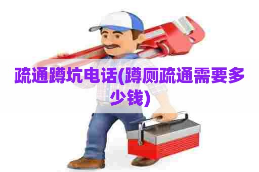 疏通蹲坑电话(蹲厕疏通需要多少钱) 疏通蹲坑电话(蹲厕疏通需要多少钱)