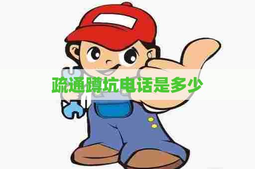 疏通蹲坑电话是多少 疏通蹲坑电话是多少