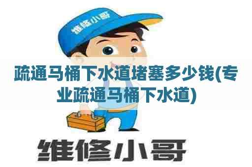 疏通马桶下水道堵塞多少钱(专业疏通马桶下水道)