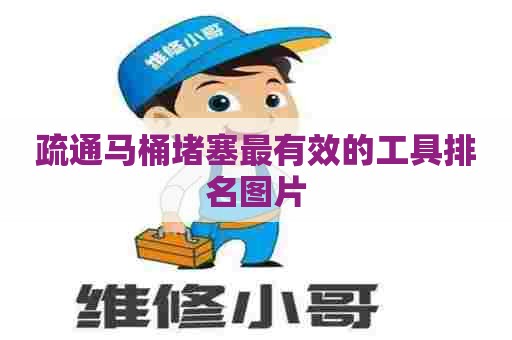 疏通马桶堵塞最有效的工具排名图片