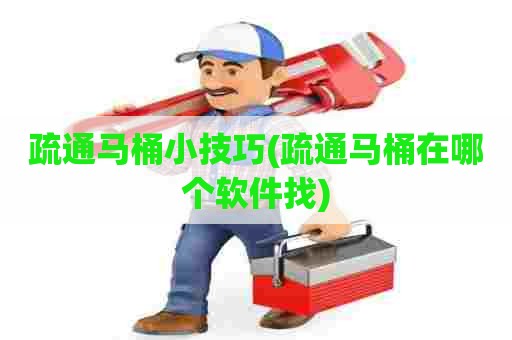 疏通马桶小技巧(疏通马桶在哪个软件找) 疏通马桶小技巧(疏通马桶在哪个软件找)