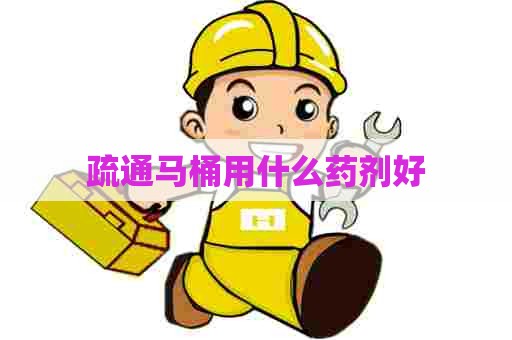 疏通马桶用什么药剂好