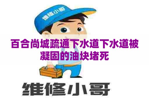 百合尚城疏通下水道下水道被凝固的油块堵死