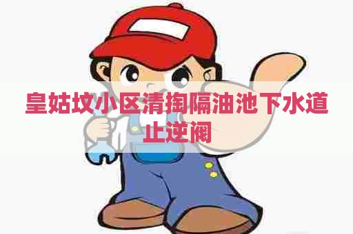 皇姑坟小区清掏隔油池下水道止逆阀