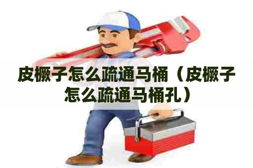 皮橛子怎么疏通马桶(皮橛子怎么疏通马桶孔) 皮橛子怎么疏通马桶(皮橛子怎么疏通马桶孔)