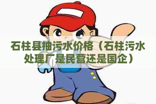 石柱县抽污水价格（石柱污水处理厂是民营还是国企）