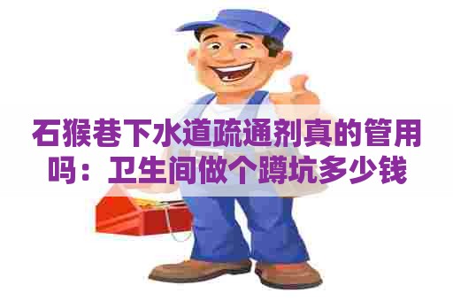 石猴巷下水道疏通剂真的管用吗:卫生间做个蹲坑多少钱 石猴巷下水道疏通剂真的管用吗:卫生间做个蹲坑多少钱