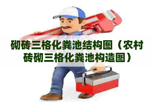 砌砖三格化粪池结构图（农村砖砌三格化粪池构造图）