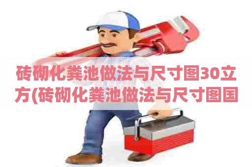 砖砌化粪池做法与尺寸图30立方(砖砌化粪池做法与尺寸图国家标准)