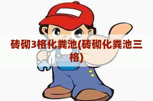 砖砌3格化粪池(砖砌化粪池三格)