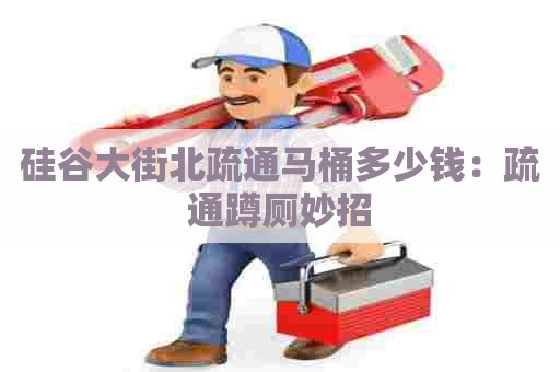 硅谷大街北疏通马桶多少钱:疏通蹲厕妙招 硅谷大街北疏通马桶多少钱:疏通蹲厕妙招