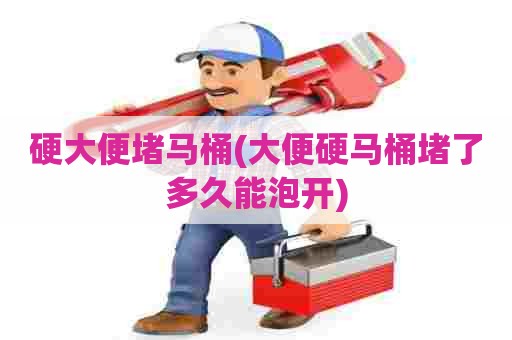 硬大便堵马桶(大便硬马桶堵了多久能泡开)