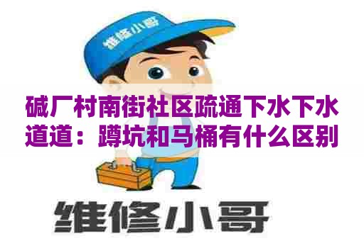 碱厂村南街社区疏通下水下水道道：蹲坑和马桶有什么区别