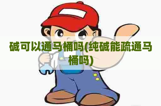 碱可以通马桶吗(纯碱能疏通马桶吗)