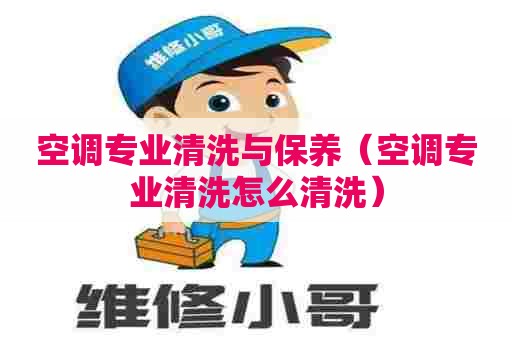 空调专业清洗与保养（空调专业清洗怎么清洗）