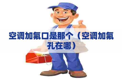 空调加氟口是那个(空调加氟孔在哪) 空调加氟口是那个(空调加氟孔在哪)