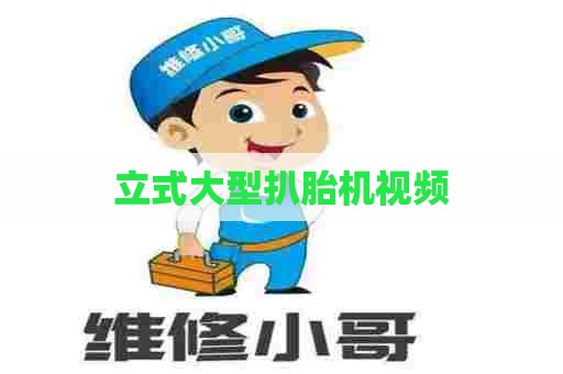 立式大型扒胎机视频