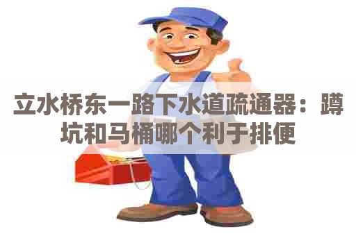 立水桥东一路下水道疏通器：蹲坑和马桶哪个利于排便