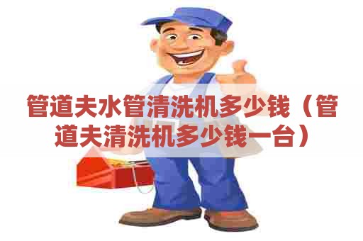 管道夫水管清洗机多少钱（管道夫清洗机多少钱一台）