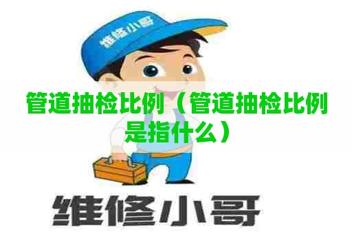 管道抽检比例（管道抽检比例是指什么）