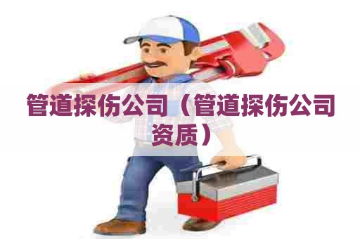 管道探伤公司(管道探伤公司资质) 管道探伤公司(管道探伤公司资质)