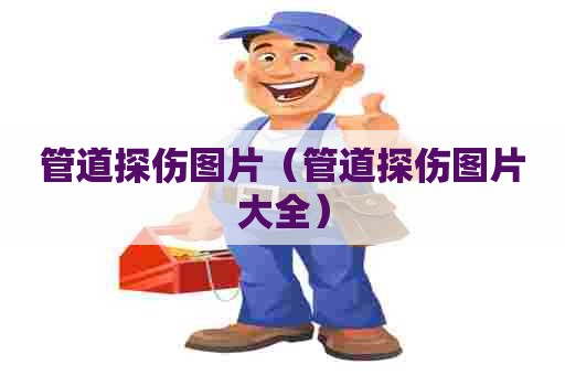 管道探伤图片(管道探伤图片大全) 管道探伤图片(管道探伤图片大全)