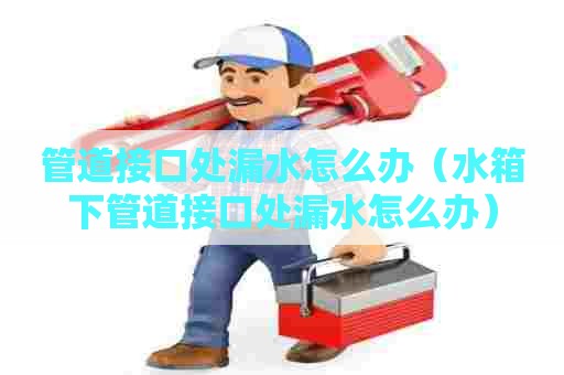 管道接口处漏水怎么办（水箱下管道接口处漏水怎么办）