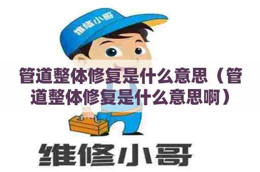 管道整体修复是什么意思（管道整体修复是什么意思啊）