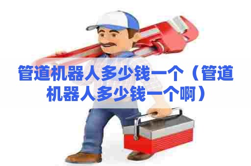 管道机器人多少钱一个（管道机器人多少钱一个啊）