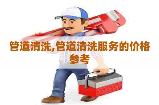 管道清洗,管道清洗服务的价格参考 管道清洗,管道清洗服务的价格参考