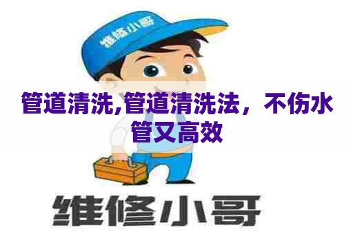 管道清洗,管道清洗法,不伤水管又高效 管道清洗,管道清洗法,不伤水管又高效