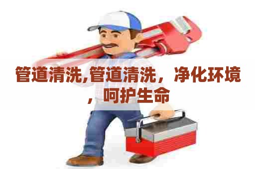 管道清洗,管道清洗,净化环境,呵护生命 管道清洗,管道清洗,净化环境,呵护生命