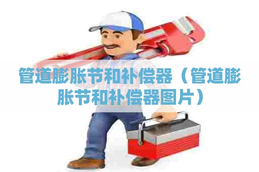 管道膨胀节和补偿器（管道膨胀节和补偿器图片）