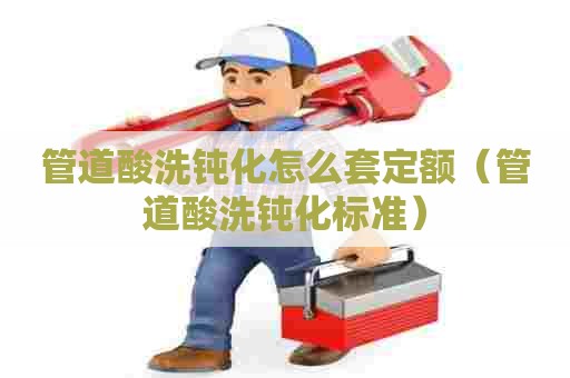 管道酸洗钝化怎么套定额（管道酸洗钝化标准）