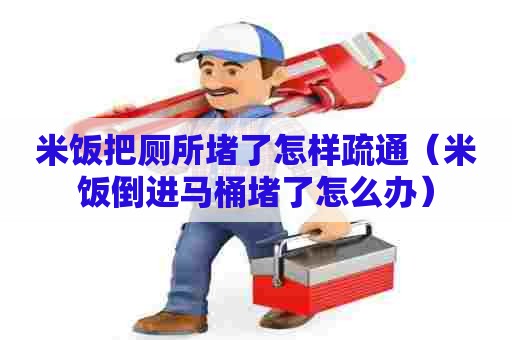 米饭把厕所堵了怎样疏通（米饭倒进马桶堵了怎么办）