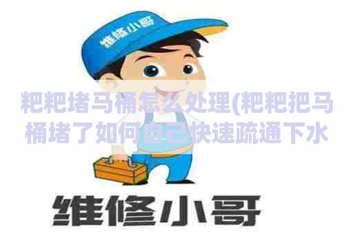 粑粑堵马桶怎么处理(粑粑把马桶堵了如何自己快速疏通下水道)