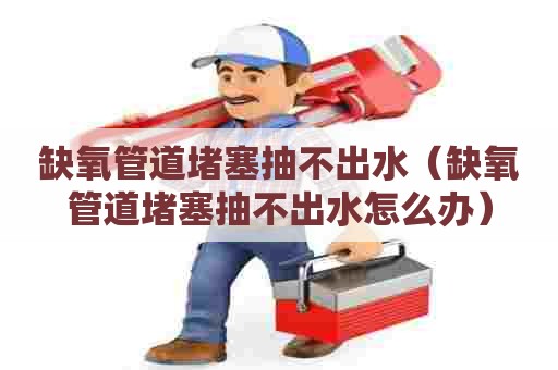 缺氧管道堵塞抽不出水（缺氧管道堵塞抽不出水怎么办）