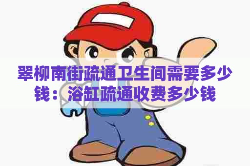 翠柳南街疏通卫生间需要多少钱:浴缸疏通收费多少钱 翠柳南街疏通卫生间需要多少钱:浴缸疏通收费多少钱