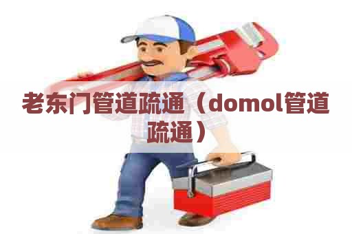 老东门管道疏通（domol管道疏通）