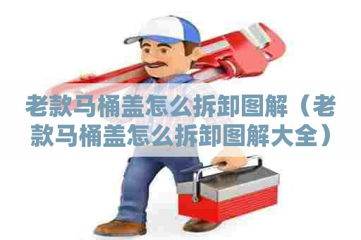 老款马桶盖怎么拆卸图解（老款马桶盖怎么拆卸图解大全）