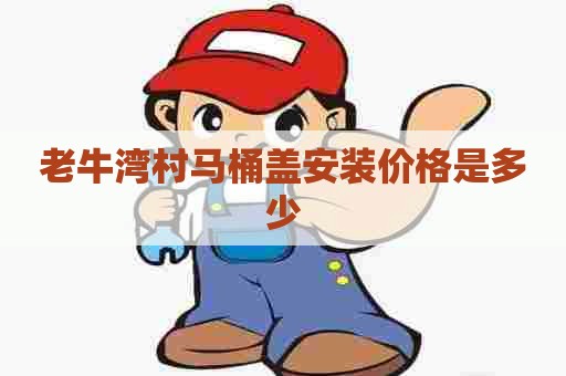 老牛湾村马桶盖安装价格是多少 老牛湾村马桶盖安装价格是多少