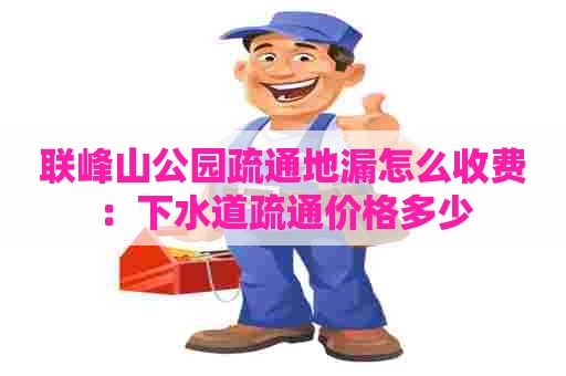 联峰山公园疏通地漏怎么收费:下水道疏通价格多少 联峰山公园疏通地漏怎么收费:下水道疏通价格多少