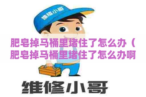 肥皂掉马桶里堵住了怎么办（肥皂掉马桶里堵住了怎么办啊）