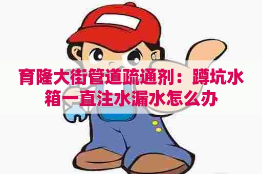 育隆大街管道疏通剂:蹲坑水箱一直注水漏水怎么办 育隆大街管道疏通剂:蹲坑水箱一直注水漏水怎么办