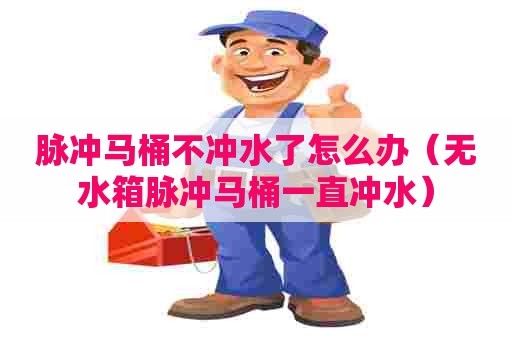 脉冲马桶不冲水了怎么办（无水箱脉冲马桶一直冲水）