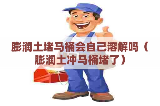 膨润土堵马桶会自己溶解吗(膨润土冲马桶堵了) 膨润土堵马桶会自己溶解吗(膨润土冲马桶堵了)