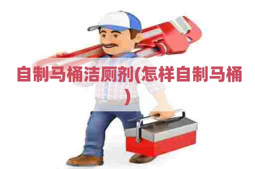 自制马桶洁厕剂(怎样自制马桶) 自制马桶洁厕剂(怎样自制马桶)