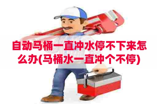 自动马桶一直冲水停不下来怎么办(马桶水一直冲个不停) 自动马桶一直冲水停不下来怎么办(马桶水一直冲个不停)