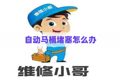 自动马桶堵塞怎么办